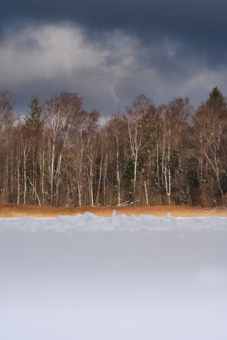 Klooga-jaarada-16