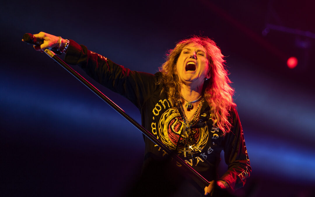 Whitesnake